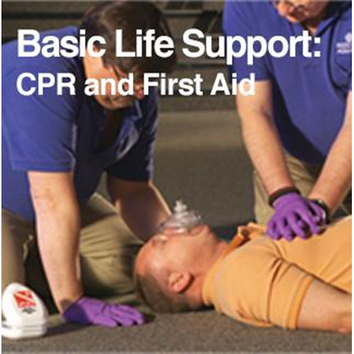 DAN Basic Life Support - CPR & FIrst Aid